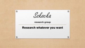 szkocka-research-group-sergii-shelpuk-business-stream-1-638